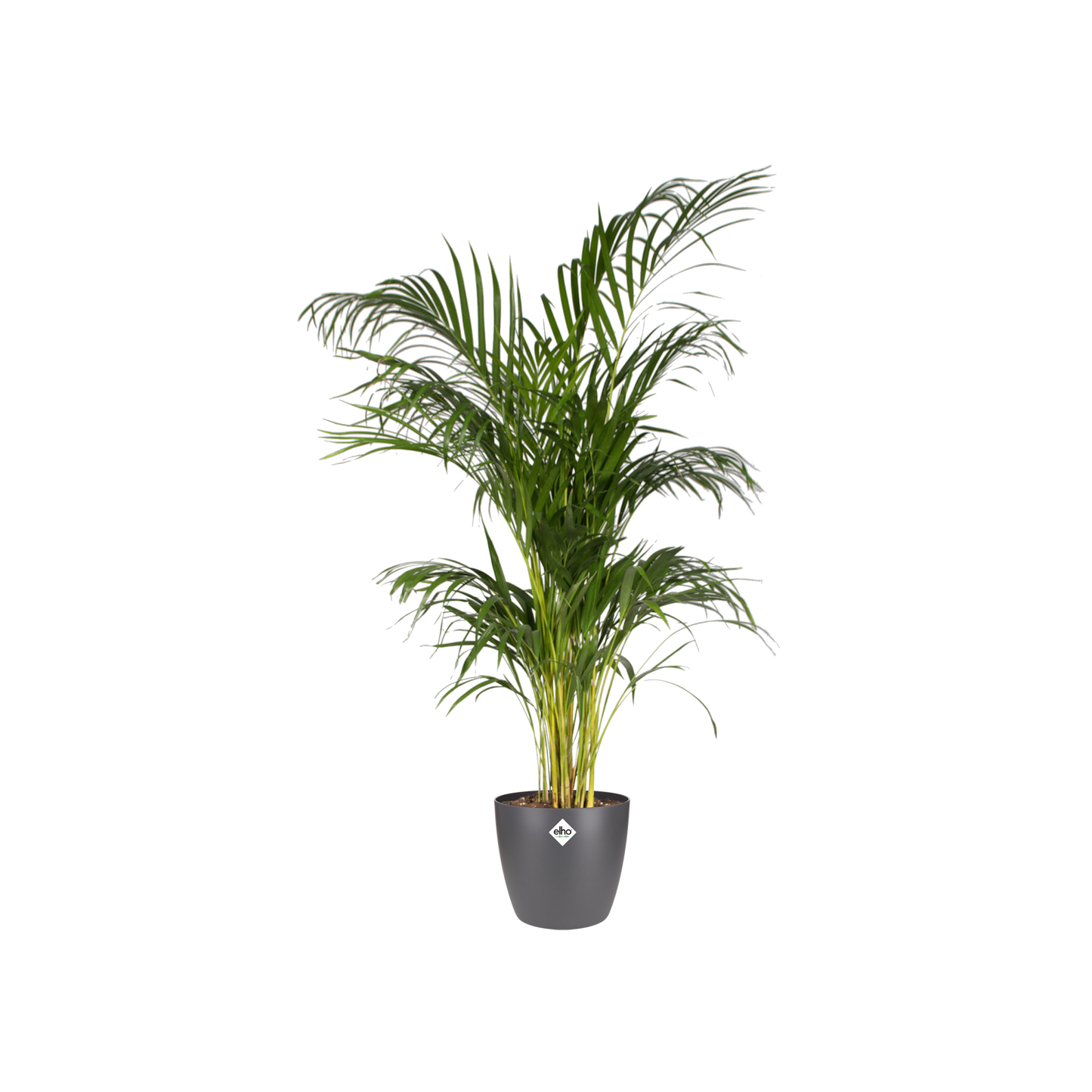 Pot elho Brussels Round Anthracite D30 x H27