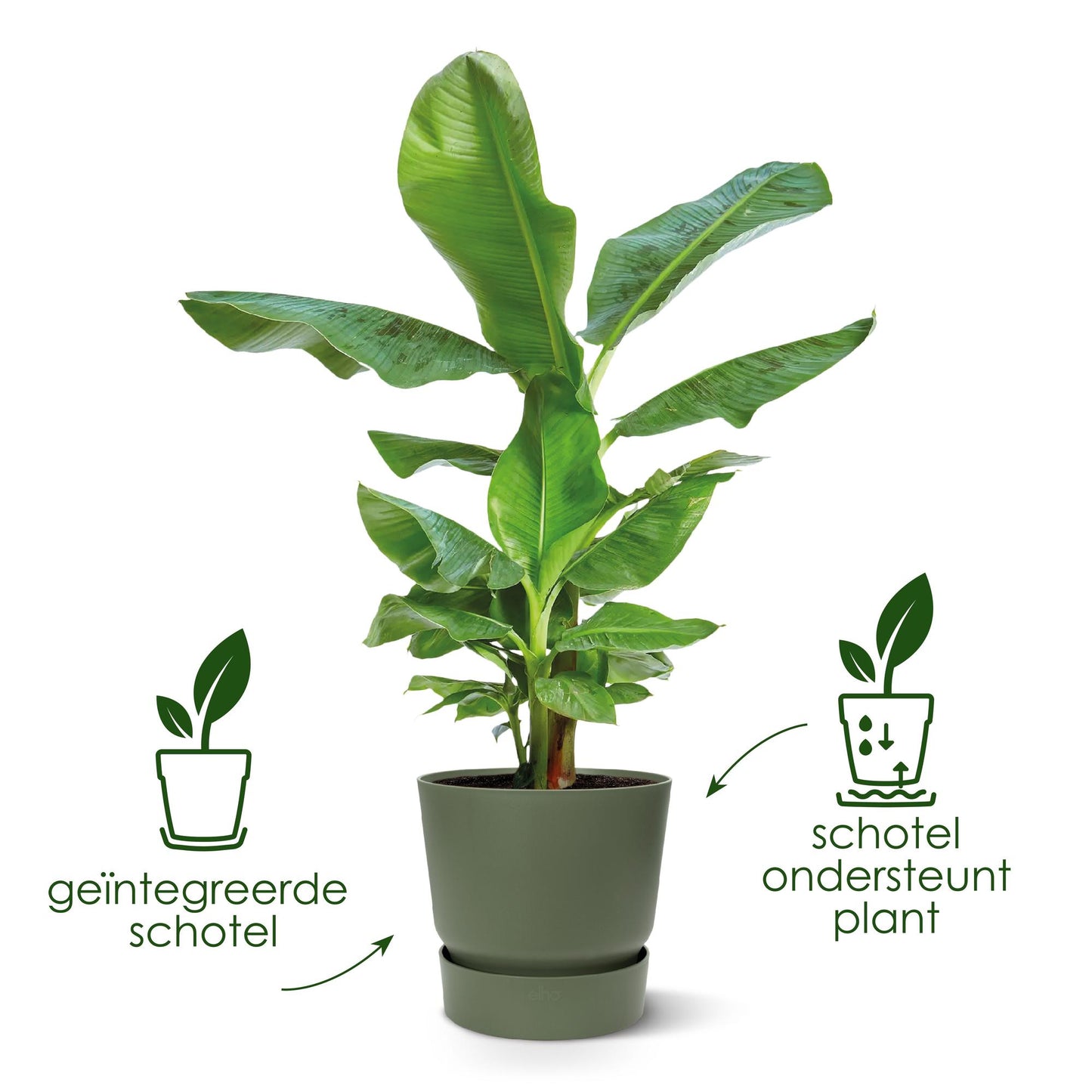 Pot elho Greenville Round green - D30 x H28